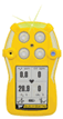 BW Technologies Monitors